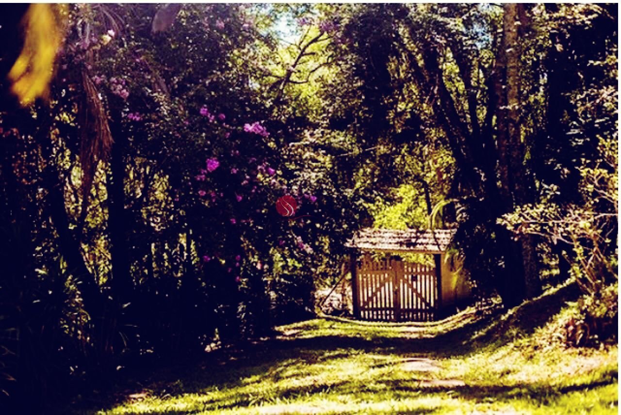 Centro Terapêutico Feminino - Guarulhos - SP - foto 2